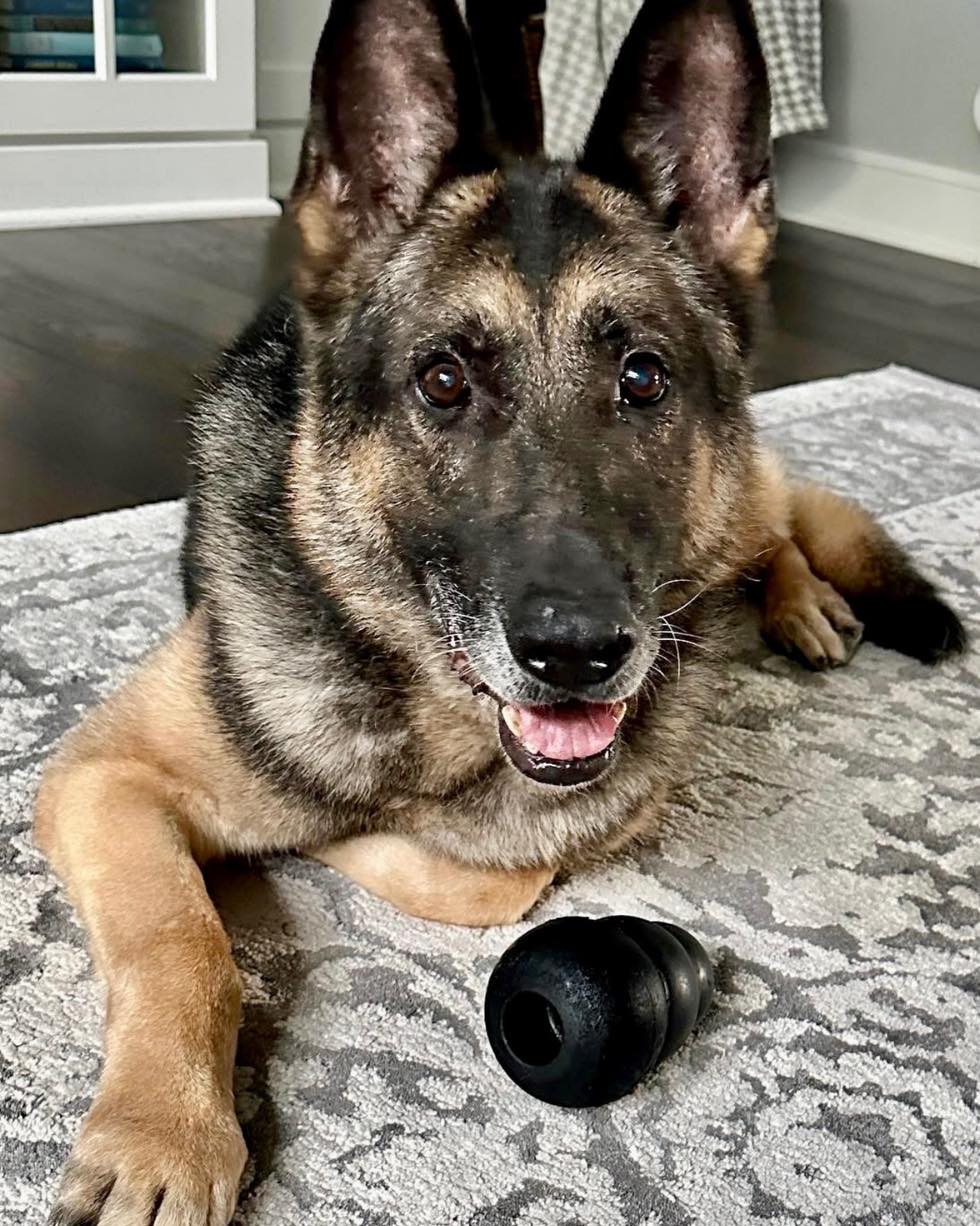 Aurora K9 Nero Mourned, Years of Service Recalled, Legacy Lives On